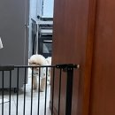 그룸 앤 먼치 이미지