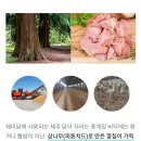 여행가자 주식회사 이미지