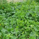 팔봉농원 이미지