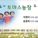 서택농장 네이버블로그