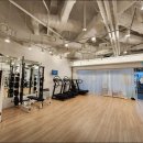 나무트레이닝 이미지