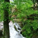 청림한의원 이미지