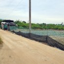 김상열농장 이미지