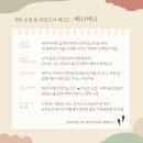 제주 트레일러닝 명소부터 2026 마라톤 대회 정보까지 총정리
