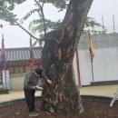 노송병원 이미지