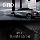 진성카 이미지