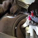 청원오일교환점 이미지