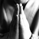 지혜롭개 이미지