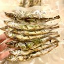 멍멍스푼 이미지