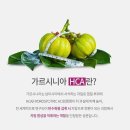 에이스바디