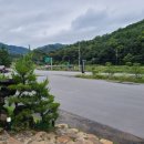 단양갈비백반 이미지