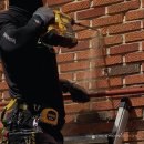 디오펫살롱 이미지