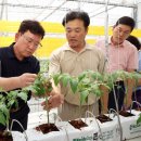 진흥농장2 이미지