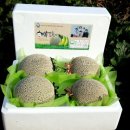 백자농장 이미지