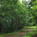 6.22(토) 아름다운 파로호 수변 수달길 도보 이미지