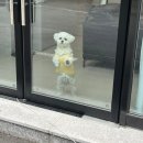 에이브 | [광주 미용실] 에이브 헤어 - 광주 1인 미용실 헤어컨설팅 빗자루헤어 탈출 솔직 후기