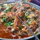 장바우식당 | 경북 의성맛집 군위맛집 추천, 생오리고기 '장바우가든' 내돈내산 솔직후기