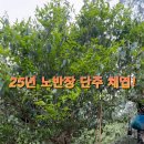 (주)단주 이미지