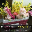 하이얀치과의원 이미지