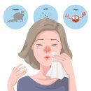 별품은약국 이미지