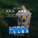 구리보룡약국 이미지