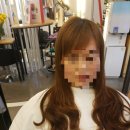 컬리수헤어 - 안양시 동안구 관양동 | 컬리수헤어