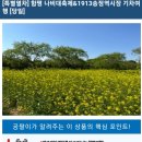 5월5일(일) 기차여행 함평나비축제 + 광주...상품권(10000원)+쌀500g 제공 이미지