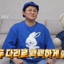 조이애견