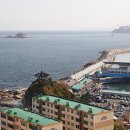 외옹치항 활어판매장 이미지