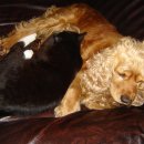 주주농장 이미지