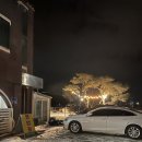 버섯마당집 이미지