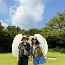 뉴서울카매니아 | 제주도 당일치기 알찬 모녀여행 후기(여행. 항공권,렌트카 꿀팁/땡처리닷컴 후기)