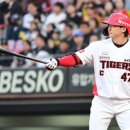 나성범 카카오 검색결과