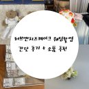 모드니에미니마켓 | 러브앤치즈케이크 웨딩촬영 간단 후기 + 소품 추천