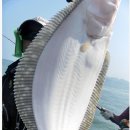 바다햇살 이미지