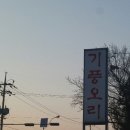 기풍오리
