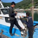 경상남도 수산안전기술원 이미지