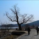 서천향교 이미지