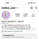 Mellow Keki(멜로우케키) 이미지