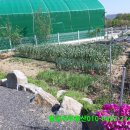 황금터부동산중개사무소 이미지