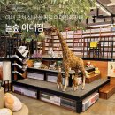 11545-02-35-59 | 이대만화카페 학생 할인으로 저렴하게 즐기는 이대놀거리 | 놀숲 이대점