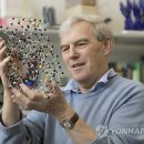 노벨전자 이미지