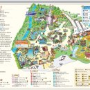 삼손짜장 이미지