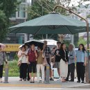 그늘막38 이미지