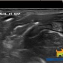 Dr. dog 동물영상의료센터 이미지