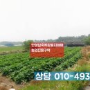 진흥목장 이미지