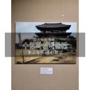 평화기획 | 수원화성박물관 기획전시 후기 | 수원의 근현대를 사진으로 만나다 (2026.8.2까지)