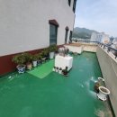 석전동297 이미지