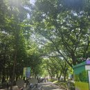 보라매공원 정원박람회 살짝꿍 다녀온 후기 푸드트럭과 메타몽 웨이팅시간