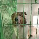 목포원광한방병원 이미지